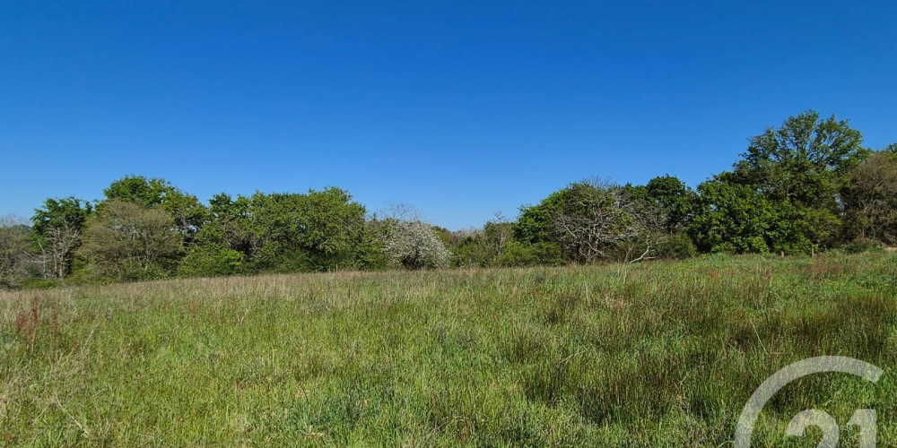 terrain à ST MEDARD (64370)